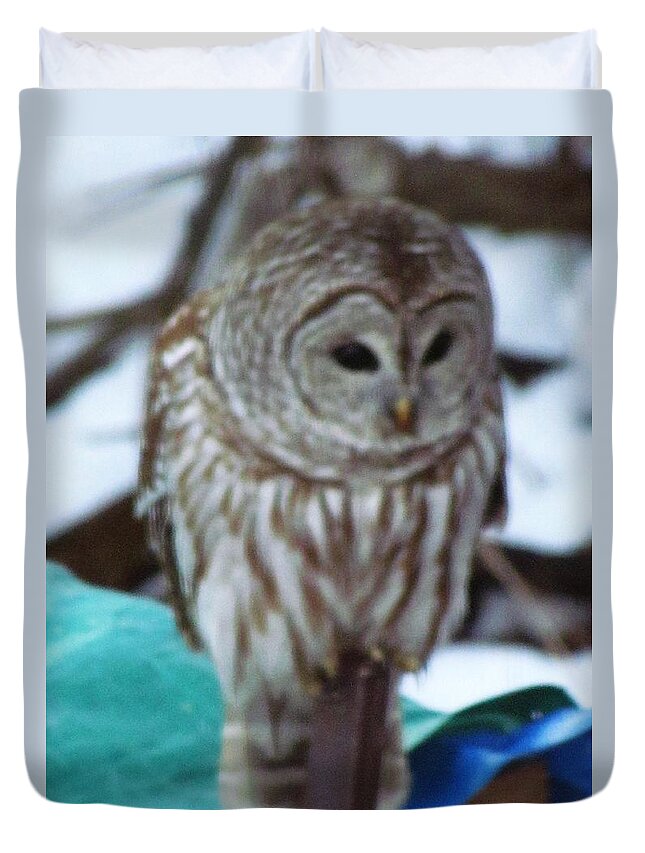 Owl Duvet Cover featuring the photograph Our Own Owl by Betty Pieper
