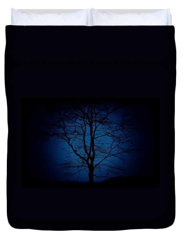 Our Special Tree Duvet Cover featuring the photograph Our Special Tree by Paul W Sharpe Aka Wizard of Wonders