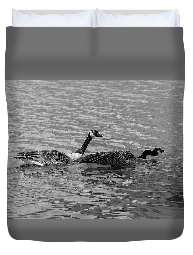 Out For A Swim Duvet Cover featuring the photograph Out For a Swim by Susan McMenamin