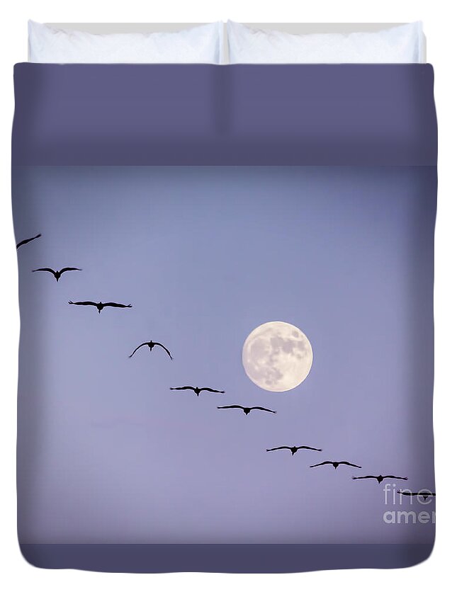 Moon Duvet Cover featuring the photograph Out of Sync by Janice Pariza