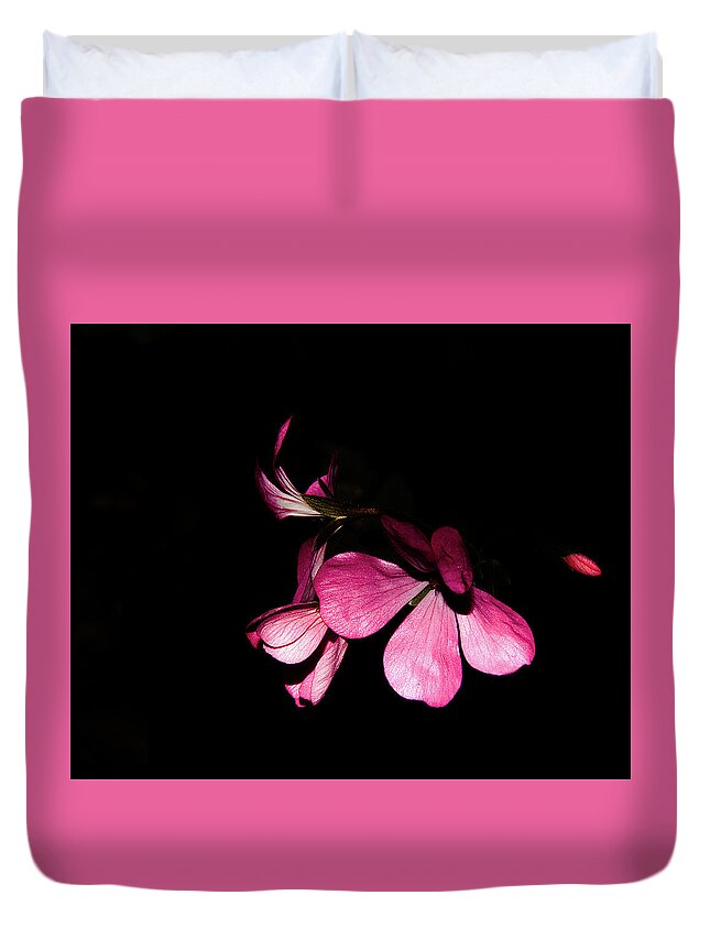 Geranium Duvet Cover featuring the photograph Out of the darkness by Camille Lopez