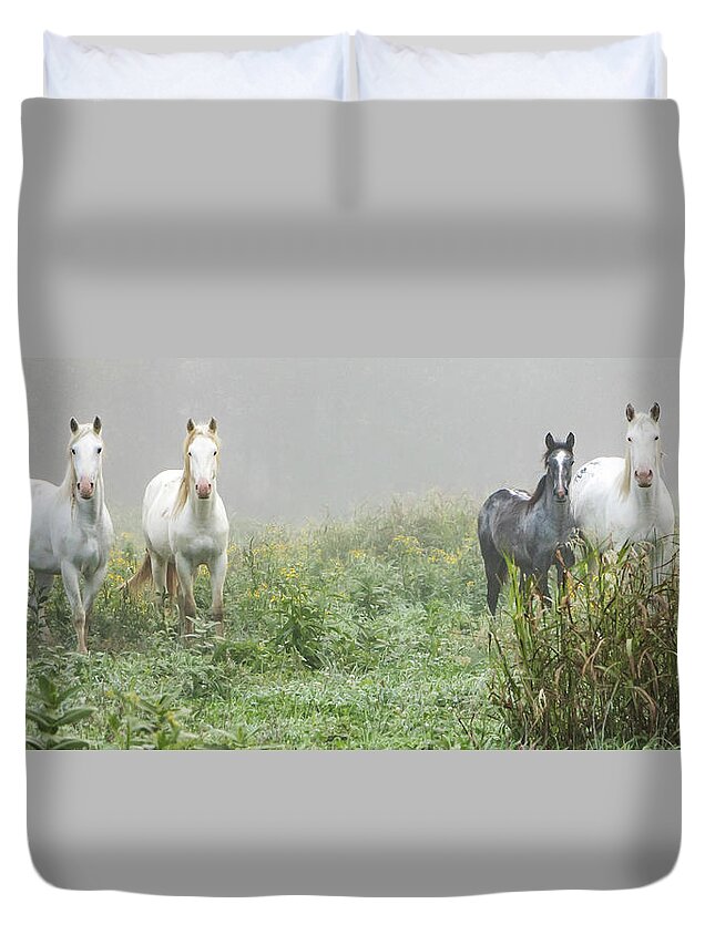 Wild Horses Duvet Cover featuring the photograph Out of the Mist, 2 by Holly Ross
