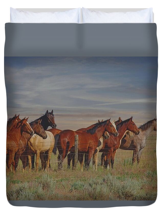 Horses Duvet Cover featuring the photograph Over The Fenceline by Amanda Smith
