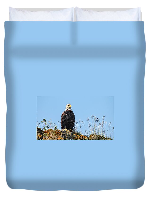 Eagle Duvet Cover featuring the photograph Overseer by Holly Ross