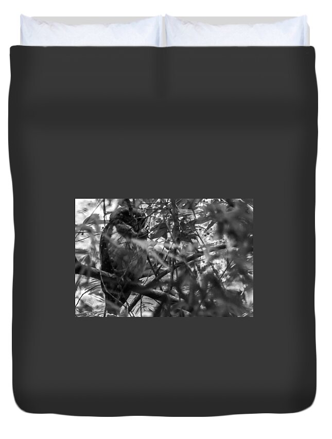 Nature Duvet Cover featuring the photograph Owl-1-bw by Fabio Giannini