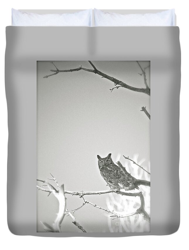 Owl Duvet Cover featuring the photograph Owl Be Seeing You by Cindy Schneider