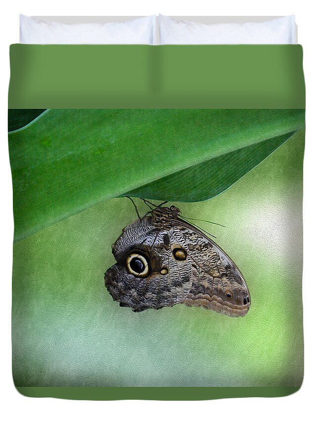 Bonnie Follett Duvet Cover featuring the photograph Owl butterfly hanging by Bonnie Follett