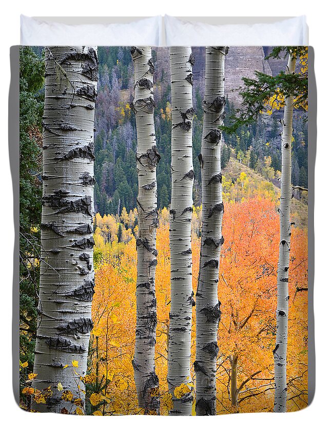 Colorado Duvet Cover featuring the photograph Owl Creek Aspens by Ray Mathis