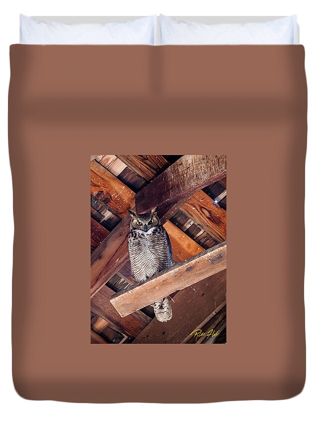 Animals Duvet Cover featuring the photograph Owl in a Barn by Rikk Flohr