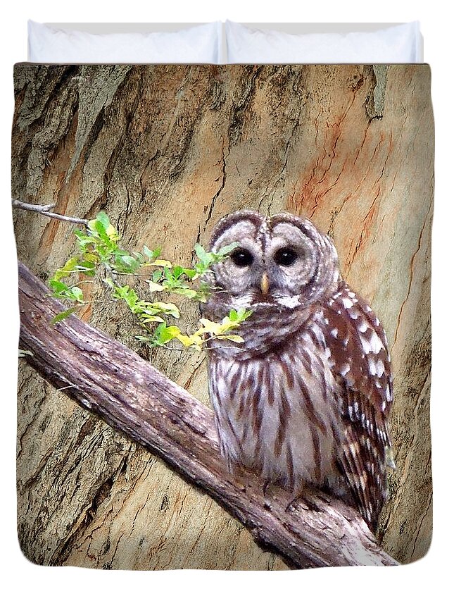 Wildlife Duvet Cover featuring the photograph Owl in Forest by Pete Trenholm