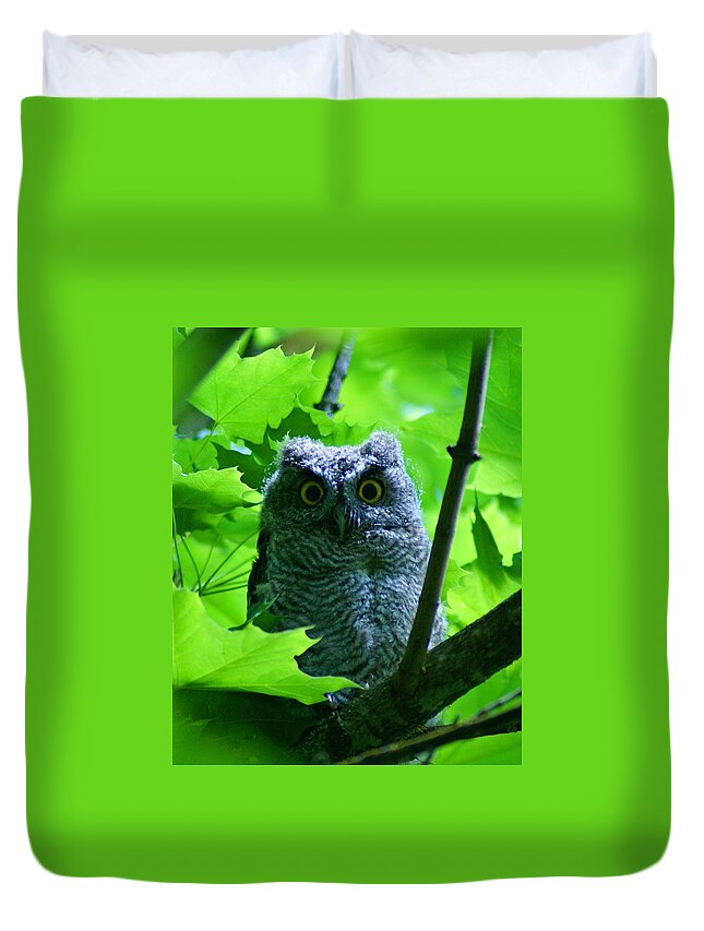Owl Duvet Cover featuring the photograph Owl in the Woods by Ben Upham III