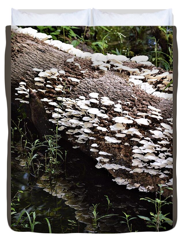 Oyster Mushrooms And Reflections Duvet Cover featuring the photograph Oyster Mushrooms and Reflections by Warren Thompson
