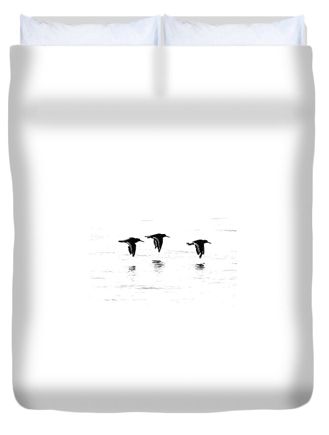 Oystercatchers Flying  Duvet Cover featuring the photograph Oystercatchers by Ian Sanders