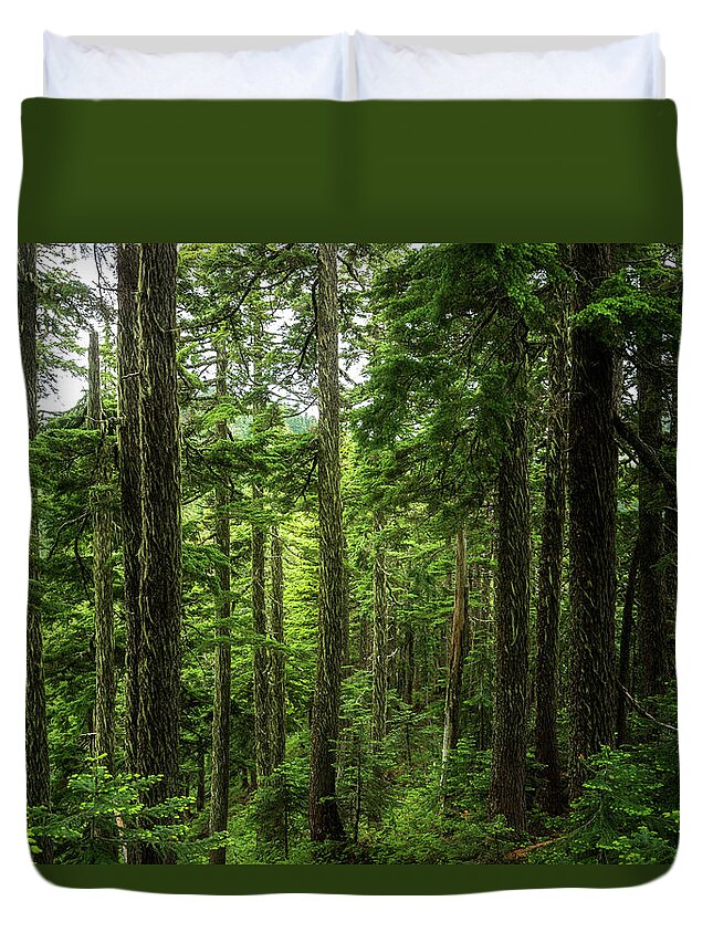Scenic Duvet Cover featuring the photograph Pacific Northwest Forest by Pelo Blanco Photo