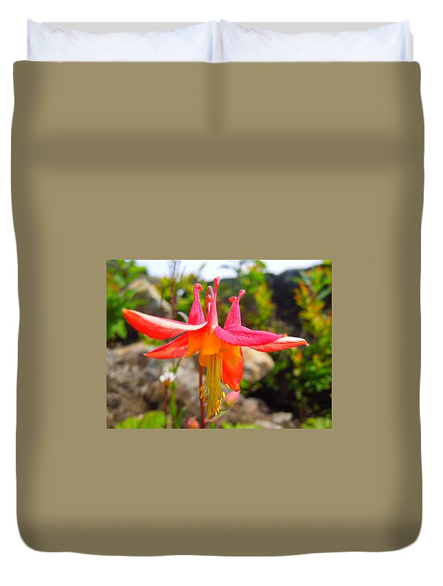 Pacific Columbine Duvet Cover featuring the photograph Pacific Columbine by Maxwell Krem