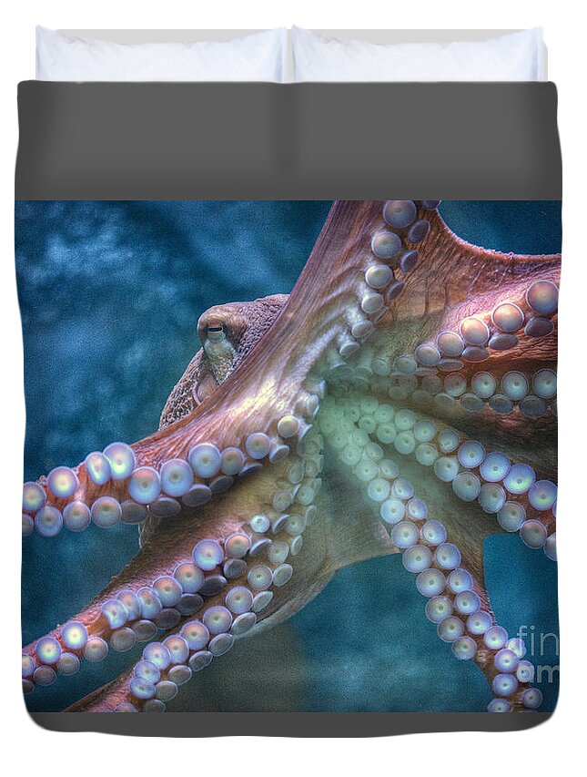 The Giant Pacific Octopus Duvet Cover featuring the photograph Giant Pacific Octopus by David Zanzinger