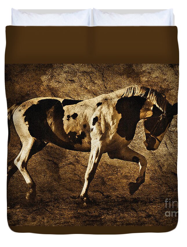 Horse Duvet Cover featuring the photograph Paint horse by Dimitar Hristov