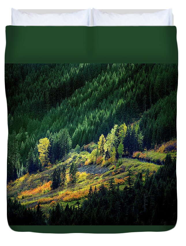 Forest Duvet Cover featuring the photograph Painted By A Sunbeam by Mary Jo Allen