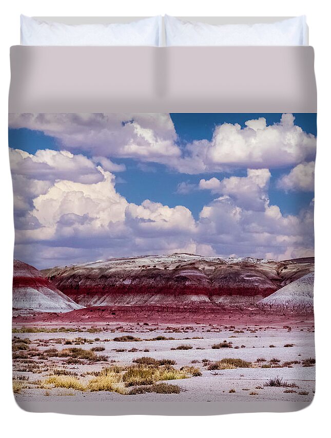 Desert Duvet Cover featuring the photograph Painted Desert by Will Burlingham