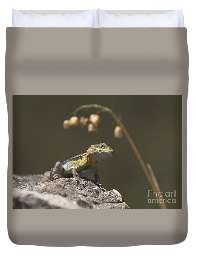 Painted Dragon Lizard Australia Australian Reptile Duvet Cover featuring the photograph Painted Dragon by Bill Robinson