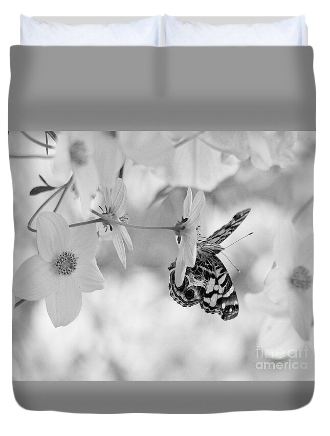 Black And White Duvet Cover featuring the photograph Painted Lady in Black and White by Lila Fisher-Wenzel