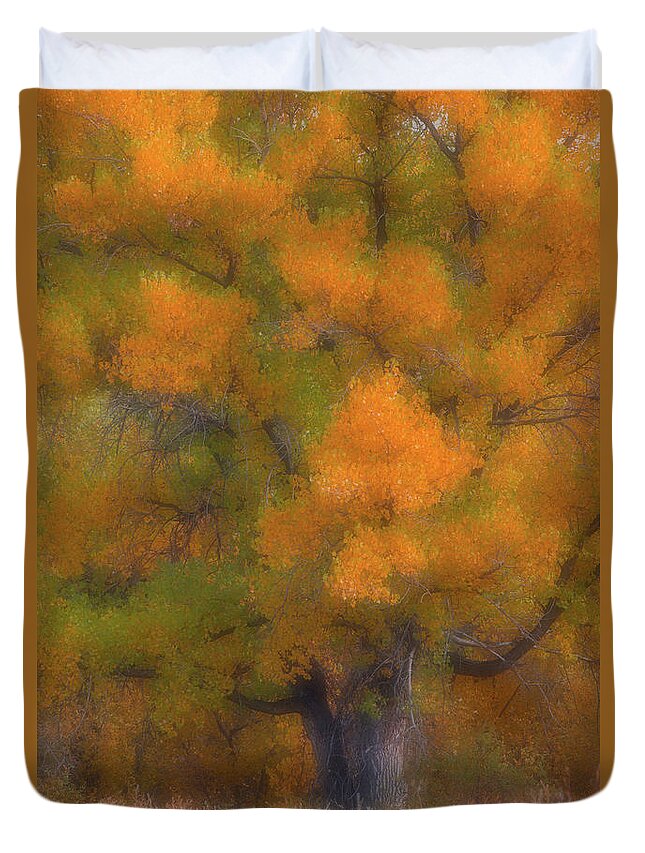 Trees Duvet Cover featuring the photograph Painted Tree by Darren White