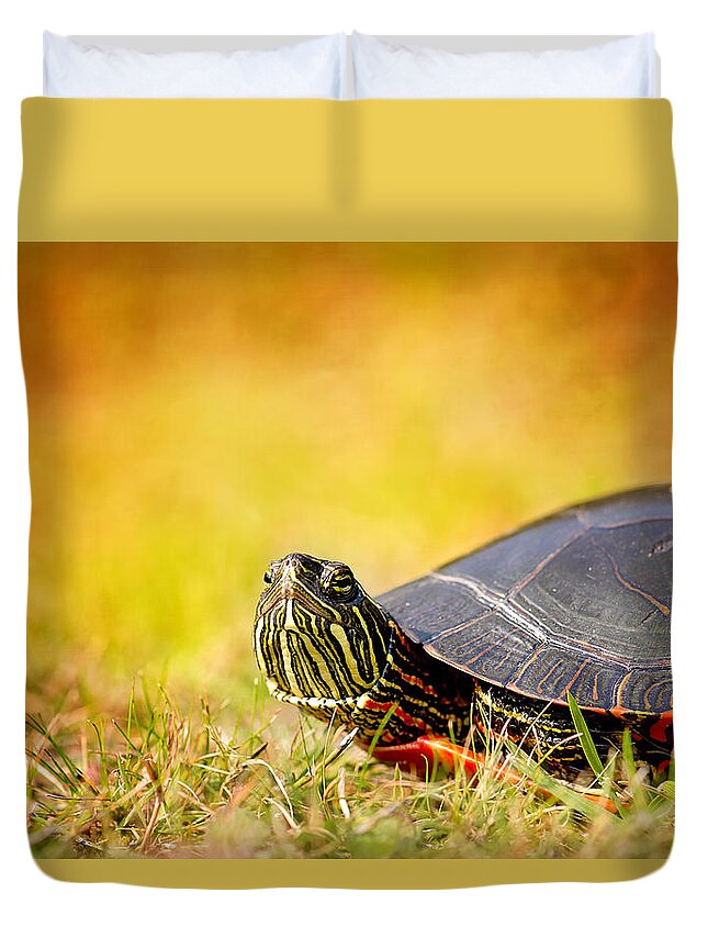 Painted Turtle Photo Duvet Cover featuring the photograph Painted Turtle Print by Gwen Gibson