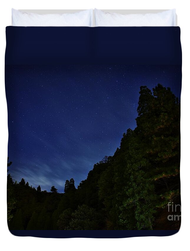Light Painting Duvet Cover featuring the photograph Painting The Forest by Angela J Wright