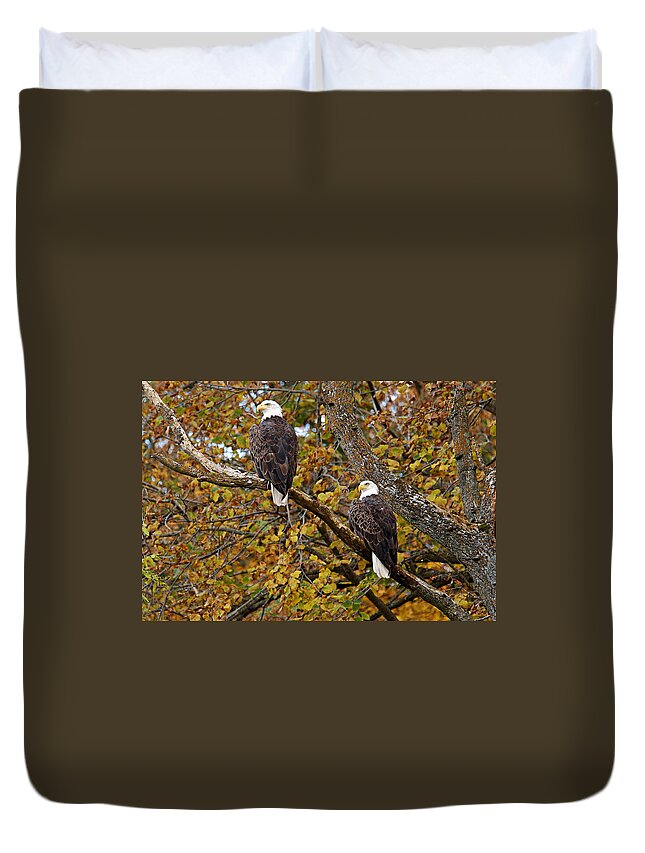 Chester Woods County Park Duvet Cover featuring the photograph Pair of Eagles in Autumn by Larry Ricker