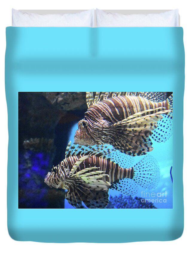 Beautiful Pair Of Swimming Lion Fish. Duvet Cover featuring the photograph Pair of Lion Fish by DejaVu Designs
