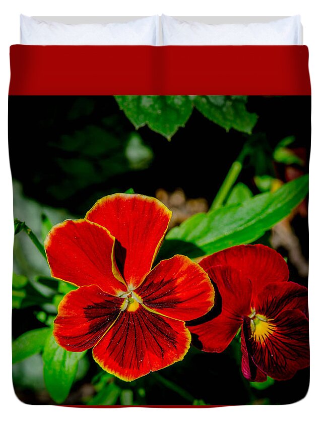 Pansies Flowers Macro Closeup Red Brown Garden Bruce Pritchett Photography Duvet Cover featuring the photograph Pair of pansies by Bruce Pritchett