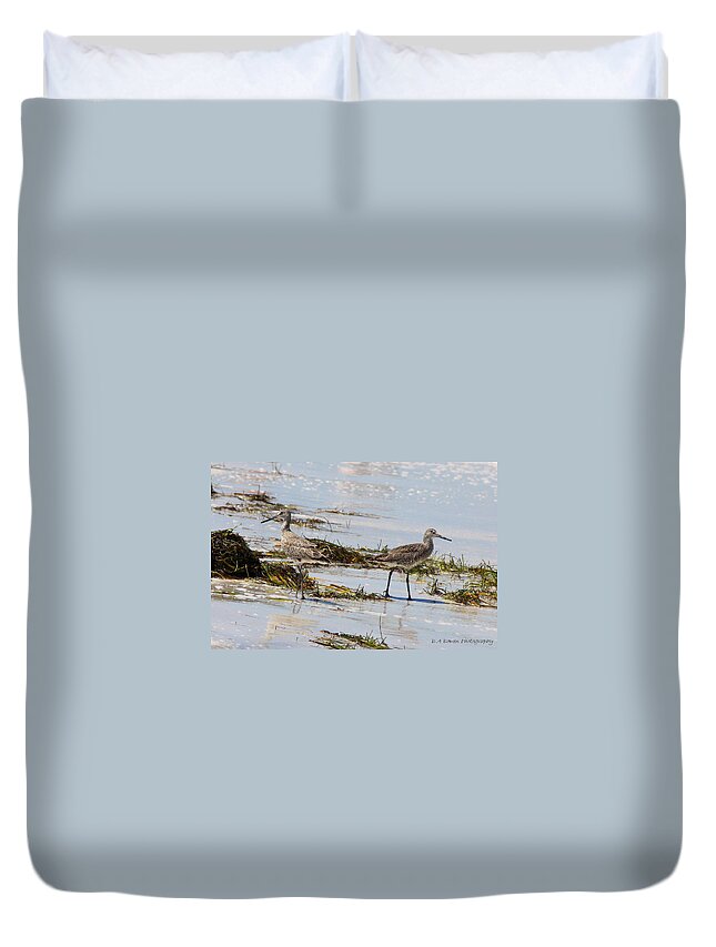Willets Duvet Cover featuring the photograph Pair of Willets by Barbara Bowen