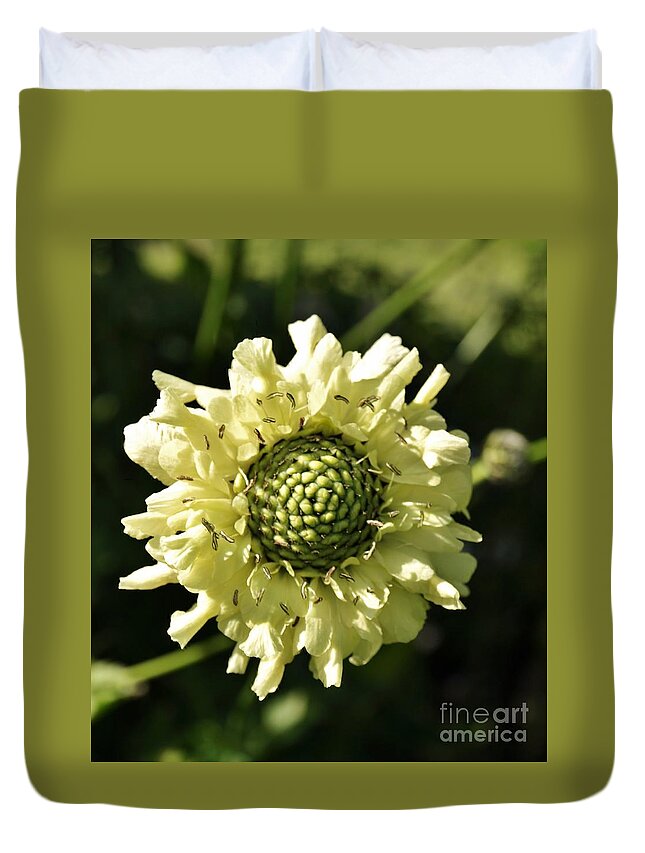 Giant Scabious Duvet Cover featuring the photograph Pale Beauty by Richard Brookes