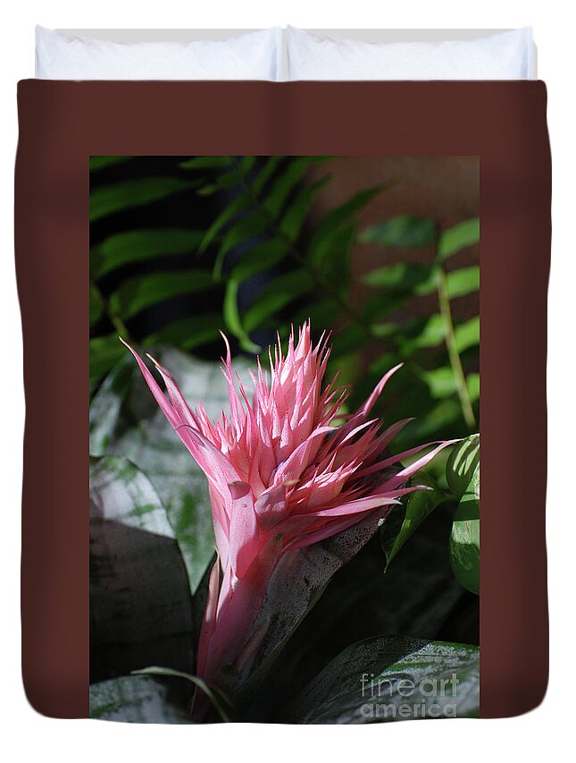 Tropical-flower Duvet Cover featuring the photograph Pale Pink Tropical Flower With Spikes by DejaVu Designs