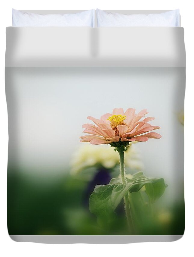 Art Duvet Cover featuring the photograph Pale Pink Zinnia I by Joan Han