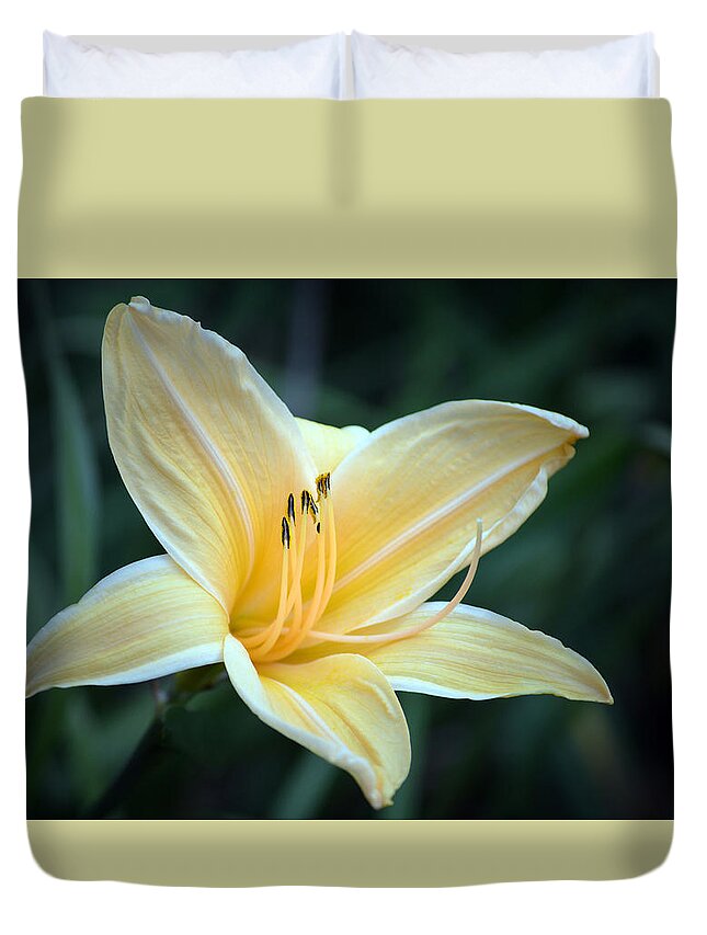 Lilies Duvet Cover featuring the photograph Pale Yellow Day Lily by Terence Davis