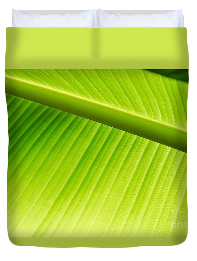 Palm Duvet Cover featuring the painting Palm Leaf background by Yurix Sardinelly