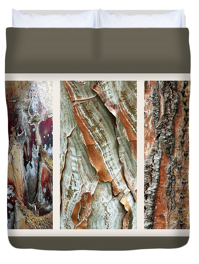 Bark Duvet Cover featuring the photograph Palm Tree Bark Triptych by Jessica Jenney