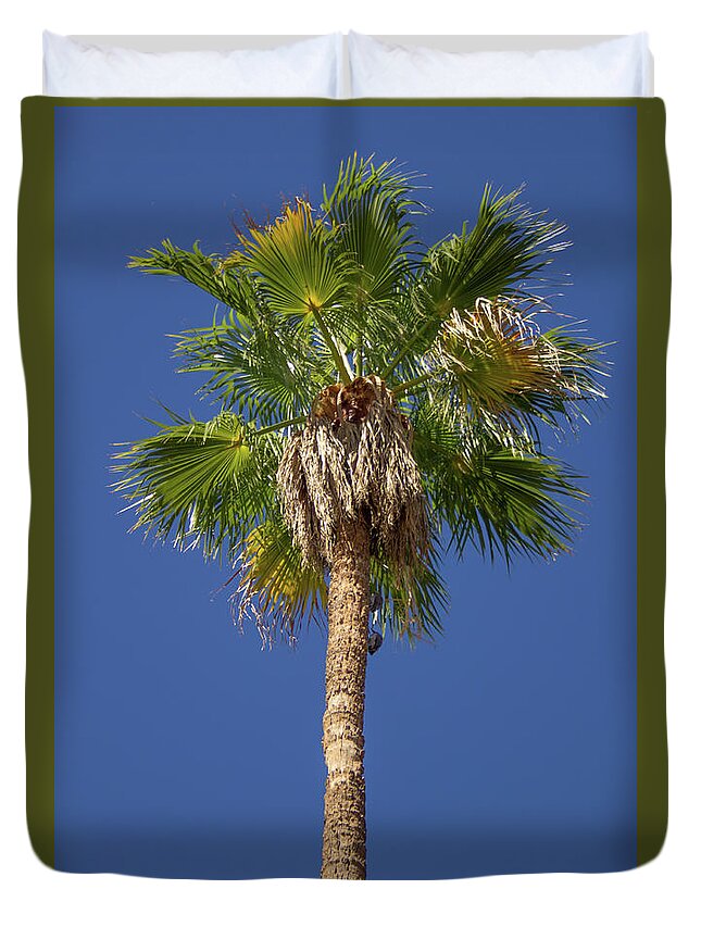 Palm Duvet Cover featuring the photograph Palm Tree by Darrell Foster