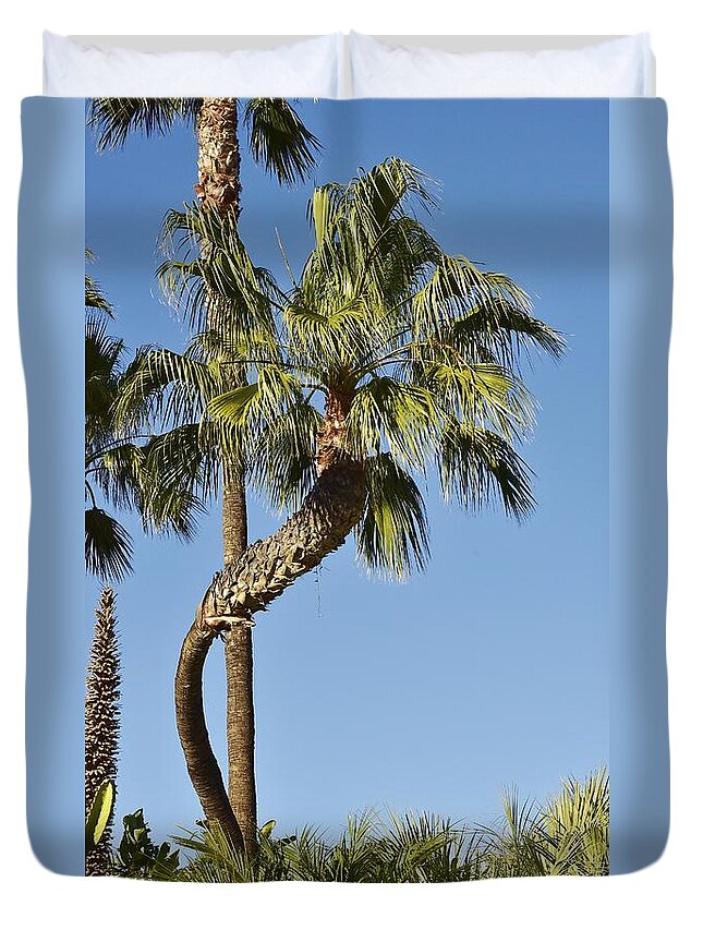Linda Brody Duvet Cover featuring the photograph Palm Tree Needs A Chiropractor by Linda Brody