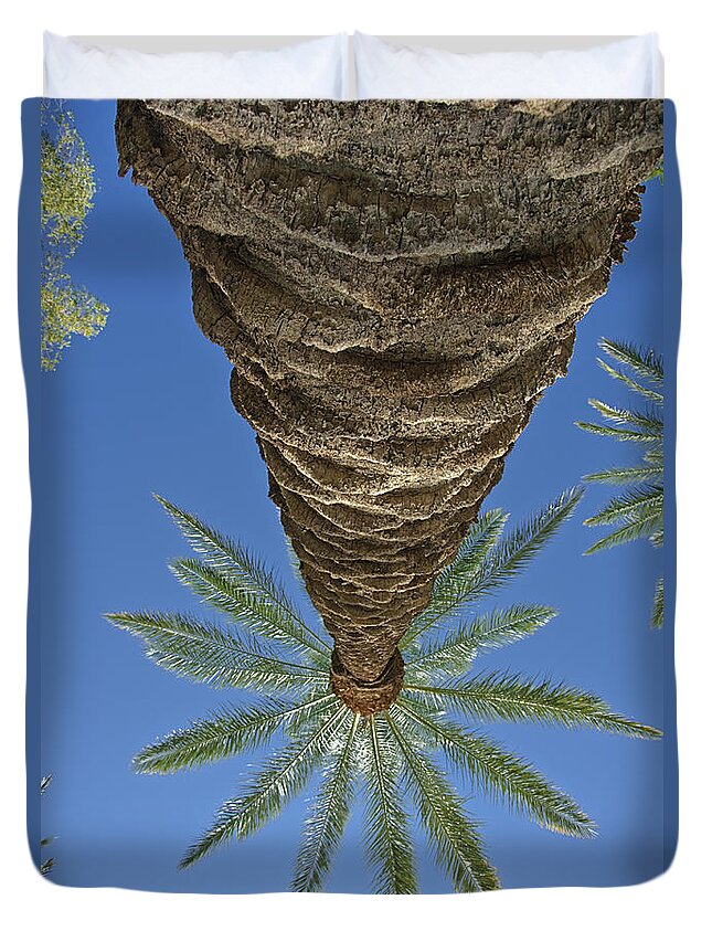 Palm Tree Looking Up Duvet Cover featuring the photograph Palm Trees Looking Up 4 by David Zanzinger