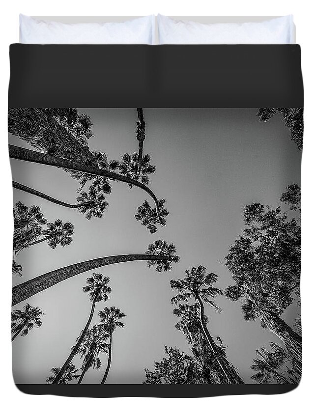 Palm Trees Duvet Cover featuring the photograph Palms Up III by Ryan Weddle