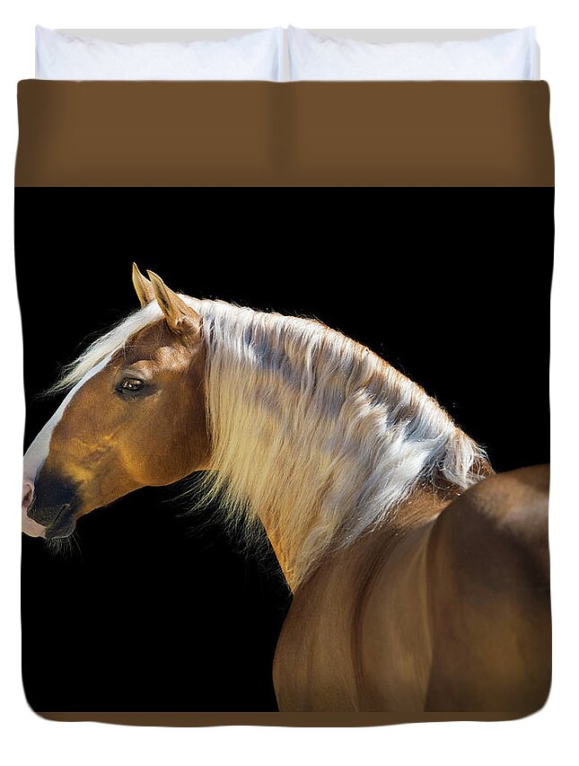 Russian Artists New Wave Duvet Cover featuring the photograph Palomino by Ekaterina Druz