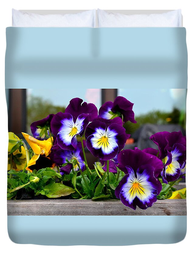 Pansy Duvet Cover featuring the photograph Pansies by Colleen Phaedra