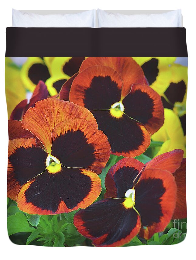 Pansy Duvet Cover featuring the photograph Pansy Joy by Debby Pueschel