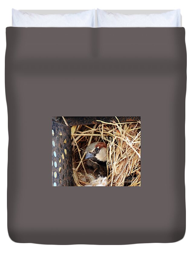 Dad Duvet Cover featuring the photograph Papa Bird by Cindy Schneider