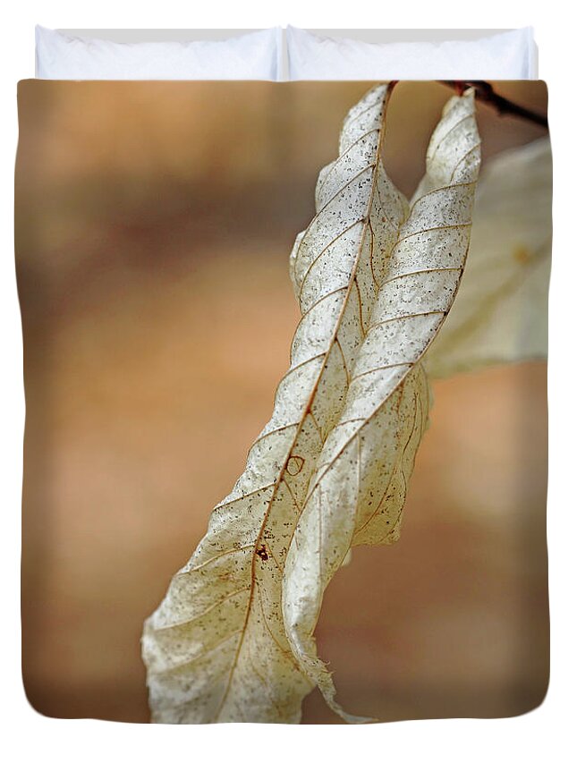 Beech Duvet Cover featuring the photograph Papery Beech by Debbie Oppermann