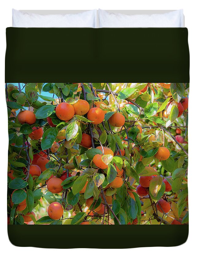 Books Duvet Cover featuring the photograph Paradise for Persimmons by Jeremy Holton