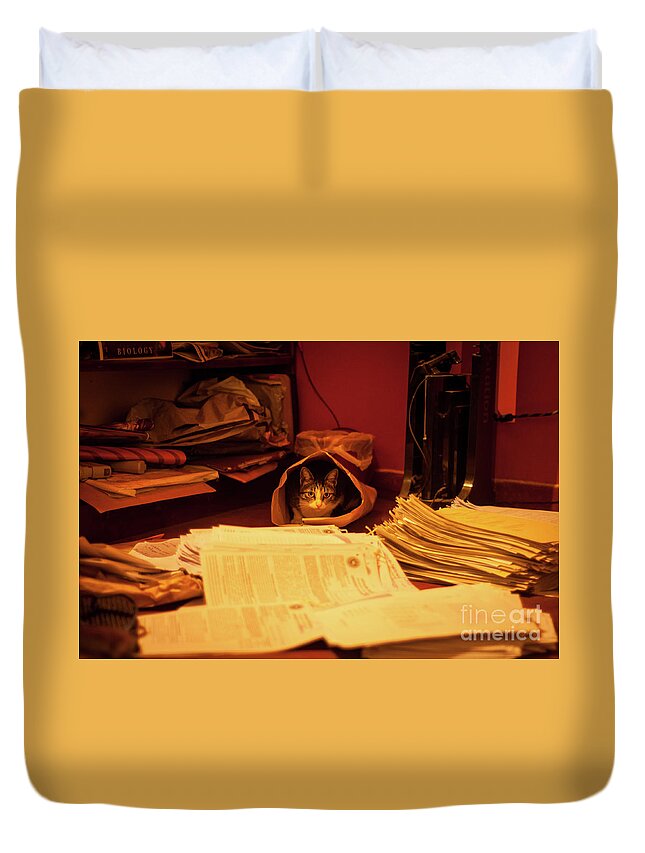 Cat In A Wrapper Duvet Cover featuring the photograph Parcel Cat by Venura Herath