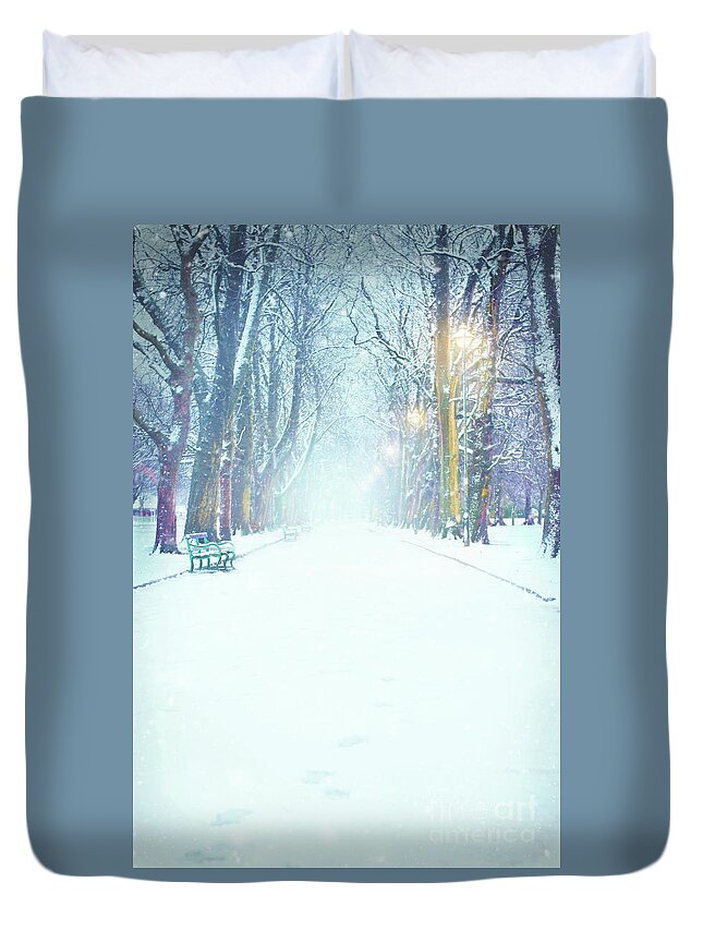 Avenue Duvet Cover featuring the photograph Park Avenue In Winter With Snow by Lee Avison